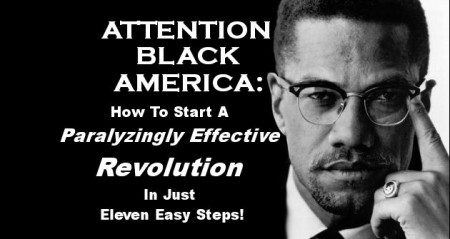 Attention Black America: How To Start A Paralyzingly Effective Revolution In Just Eleven Easy Steps!