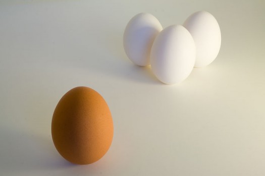 Egg Racism