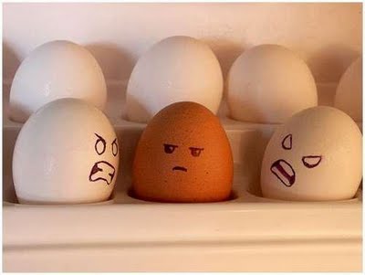 Racist-Eggs
