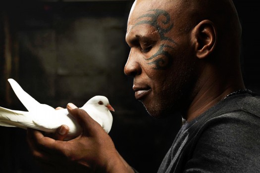 Mike Tyson and Pigeon