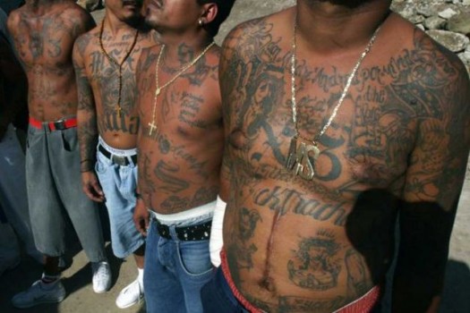 Tatted Gangs Youth