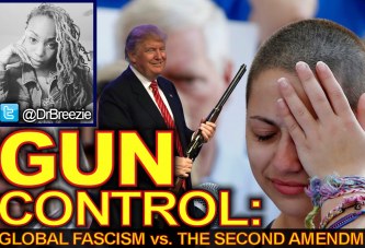 GUN CONTROL: Global Fascism vs. The Second Amendment! - The Dr. Ramona Brockett Show