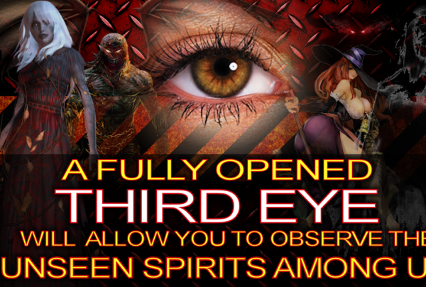 A FULLY OPENED THIRD EYE Will Allow You To Observe THE UNSEEN SPIRITS Among Us! -The LanceScurv Show
