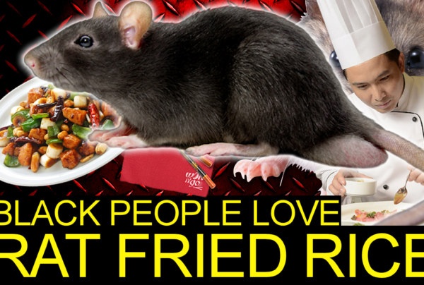 BLACK PEOPLE LOVE CHINESE TAKE OUT RAT FRIED RICE! - The LanceScurv Show