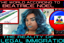 THE REALITY OF ILLEGAL IMMIGRATION! - THE WORLD ACCORDING TO BEATRICE NOEL