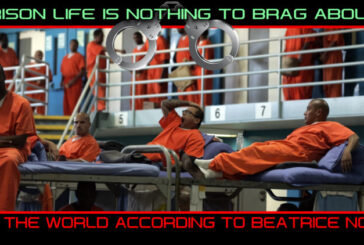 PRISON LIFE IS NOTHING TO BRAG ABOUT: DON'T LET THE MEDIA FOOL YOU!