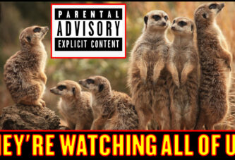 THEY'RE WATCHING ALL OF US!