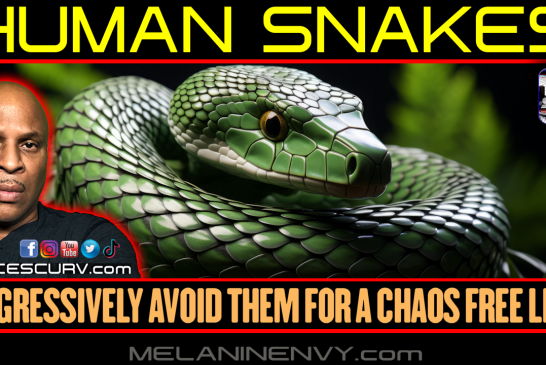 HUMAN SNAKES: AGGRESSIVELY AVOID THEM FOR A CHAOS FREE LIFE! | LANCESCURV
