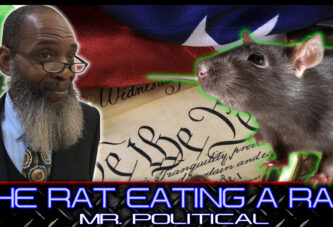 THE RAT EATING A RAT!