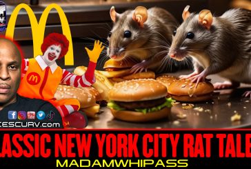 CLASSIC NEW YORK CITY RAT TALES! | MADAMWHIPASS | LANCESCURV