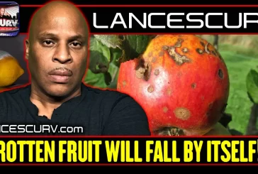 NEVER SEEK REVENGE, ROTTEN FRUIT WILL FALL BY ITSELF! | LANCESCURV