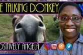 THE TALKING DONKEY | POSITIVELY ANGELA